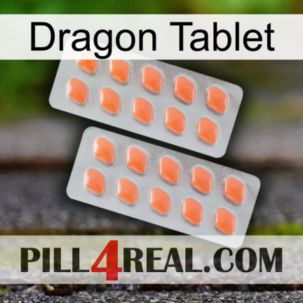 Dragon Tablet 27